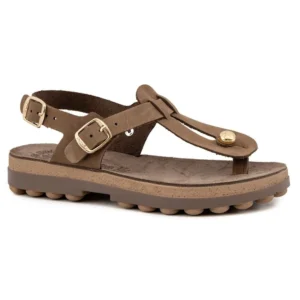 04.9005.brown